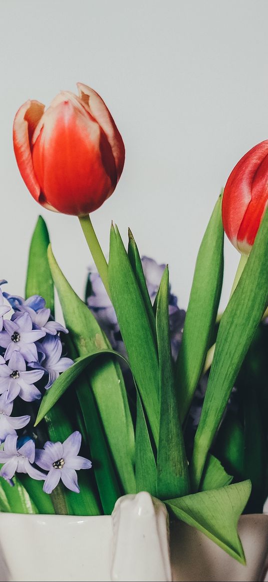 tulips, lilacs, bouquet, vase