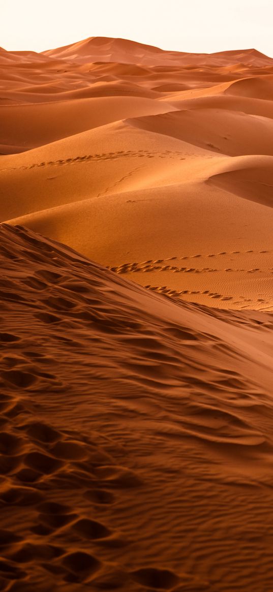 desert, morocco, dune, sand