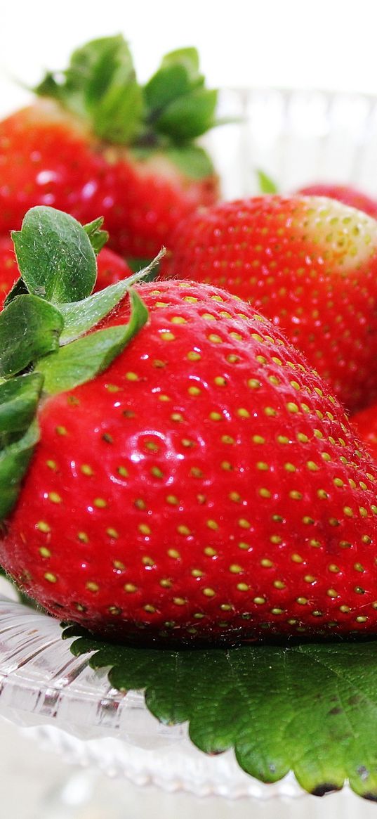 strawberry, berry, ripe, bowl