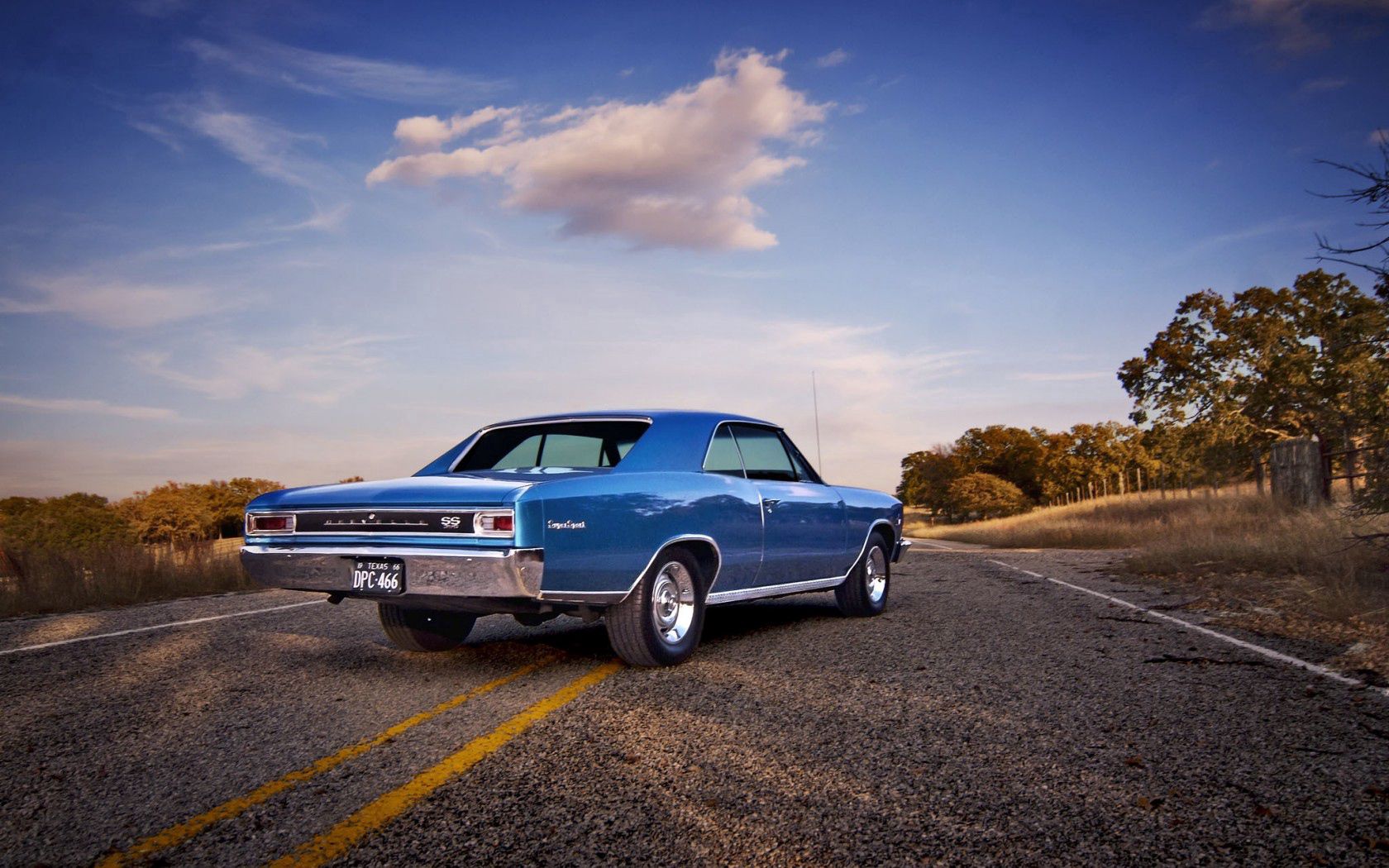 chevrolet, chevelle, 1966, rear view