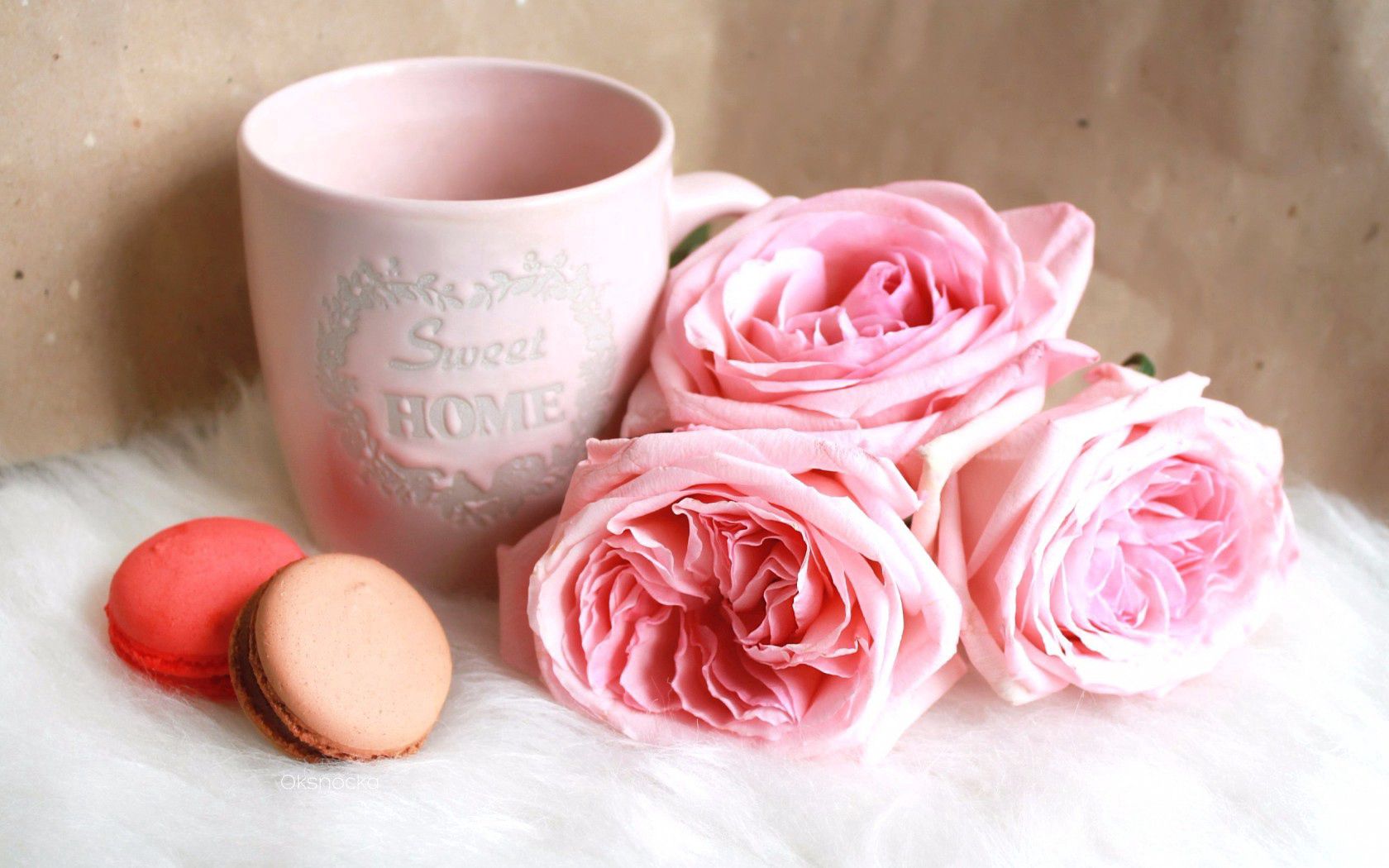 macaron, cookies, cup, roses