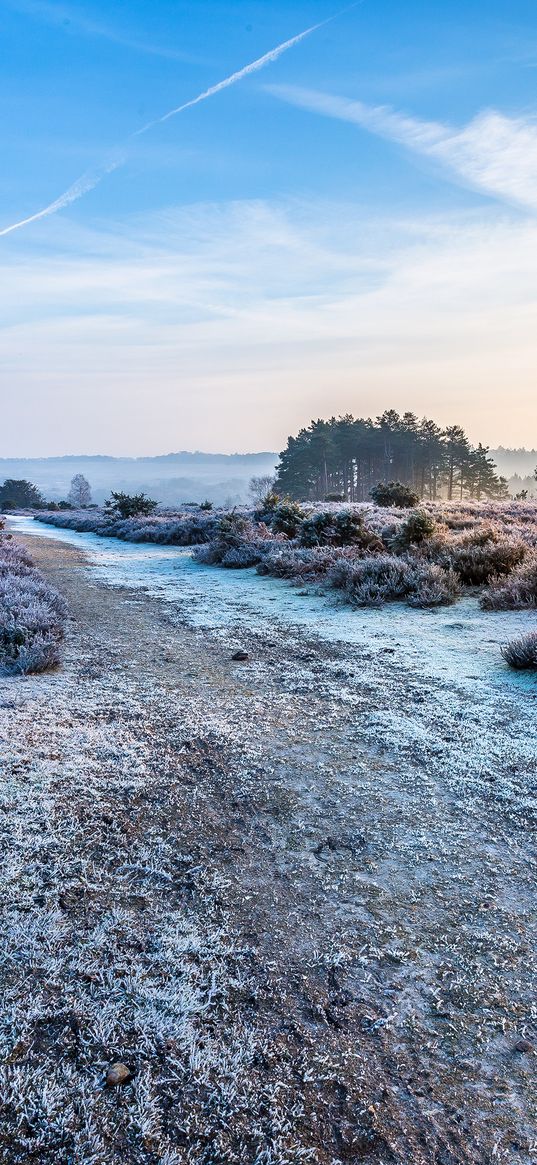 road, trees, hoarfrost, frost