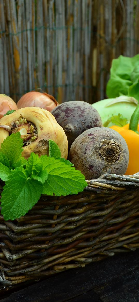 vegetables, basket, beet, radish, parsley