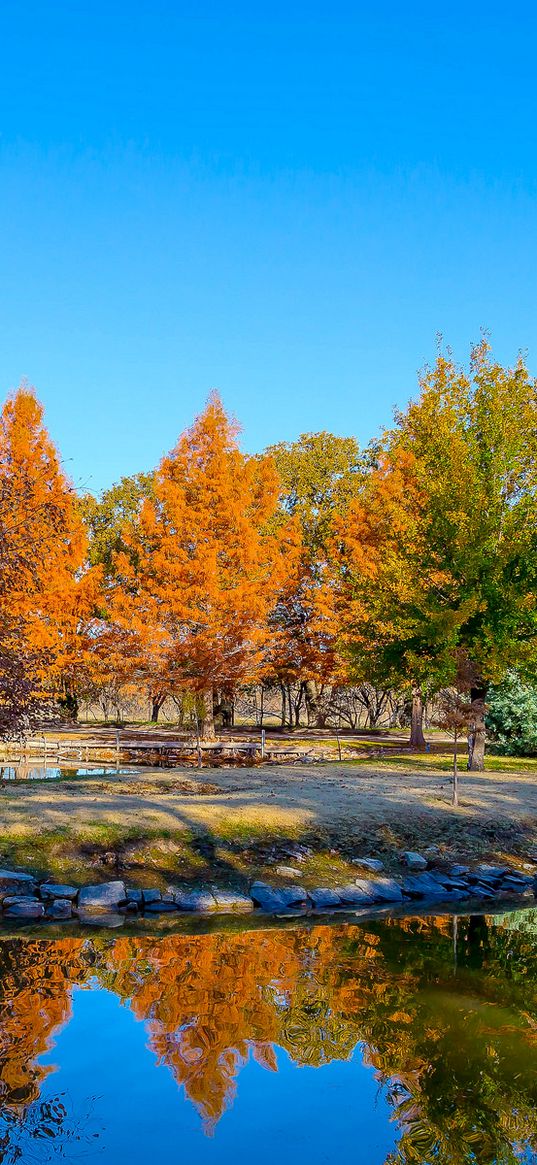 texas, usa, botanical garden, pond, autumn