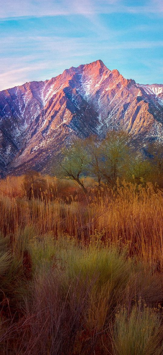 mountains, reeds, grass, sky