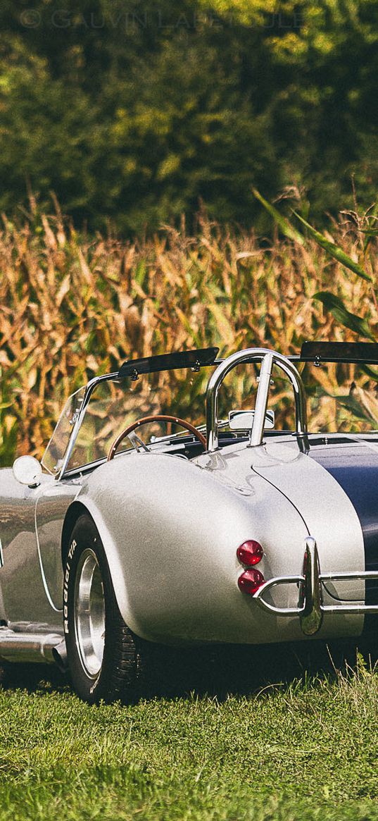 shelby, cobra, rear view, auto