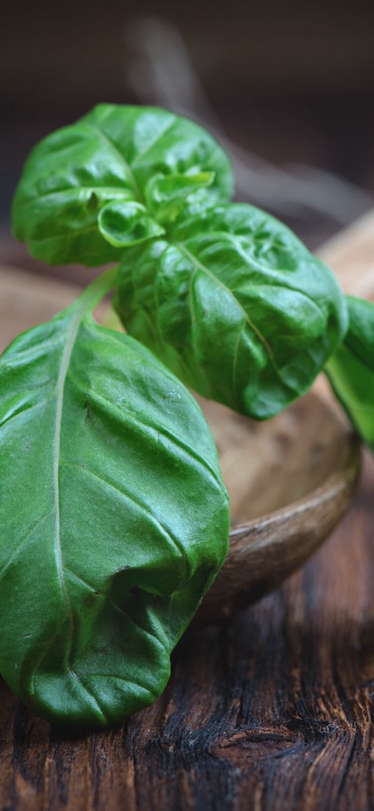 basil, herbs, kitchen utensils