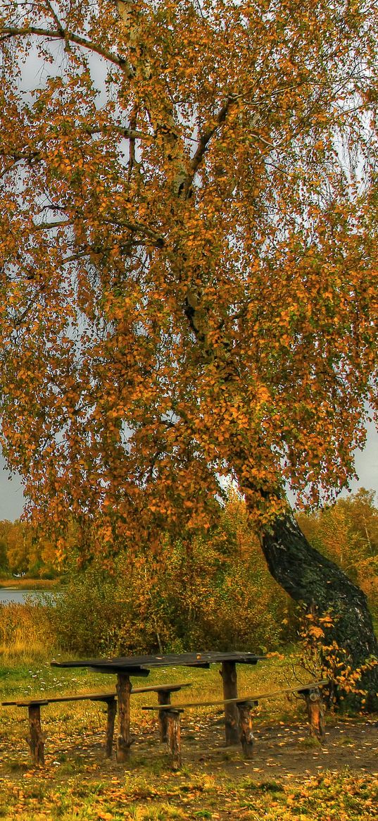 river, autumn, trees, tables, benches