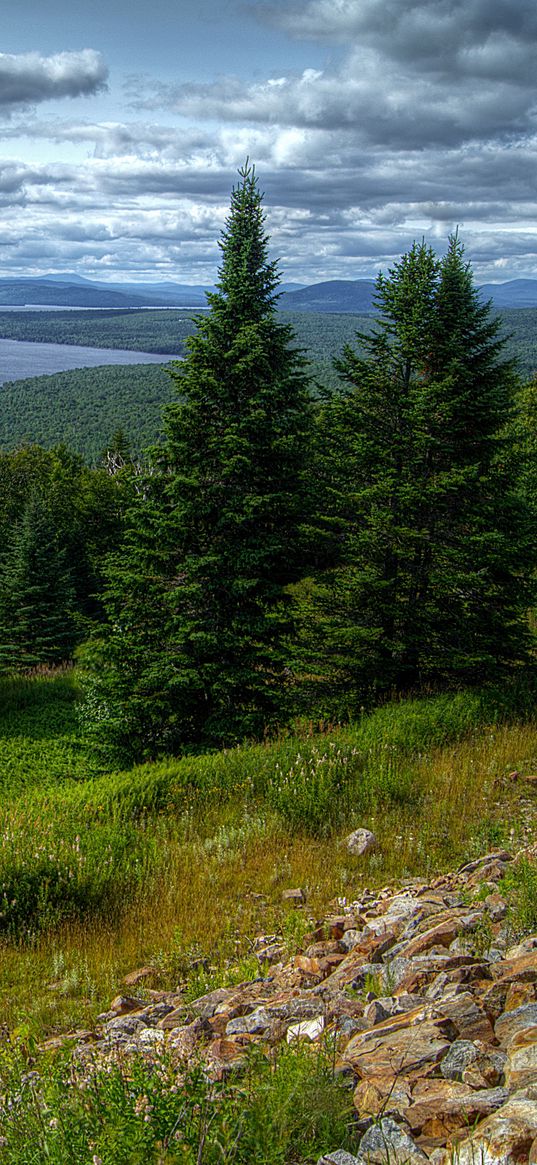 us, trees, lake, sky