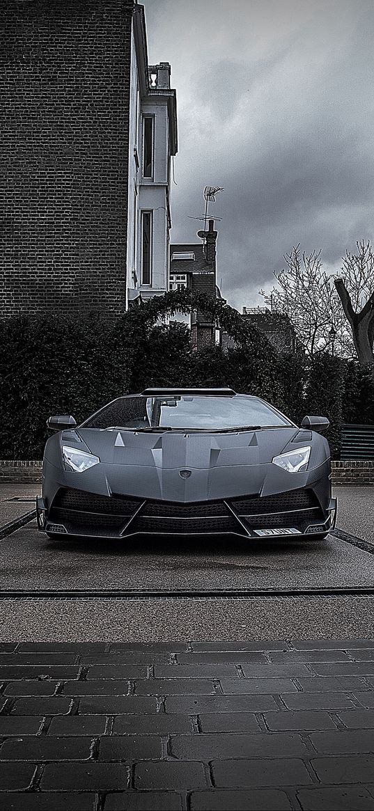 mansory, lamborghini, aventador, black, gate, front view