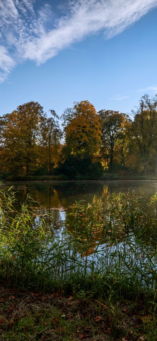 netherlands, de haar castle park, pond, trees, summer