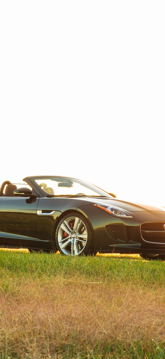 jaguar, f-type, v8 s, convertible, side view