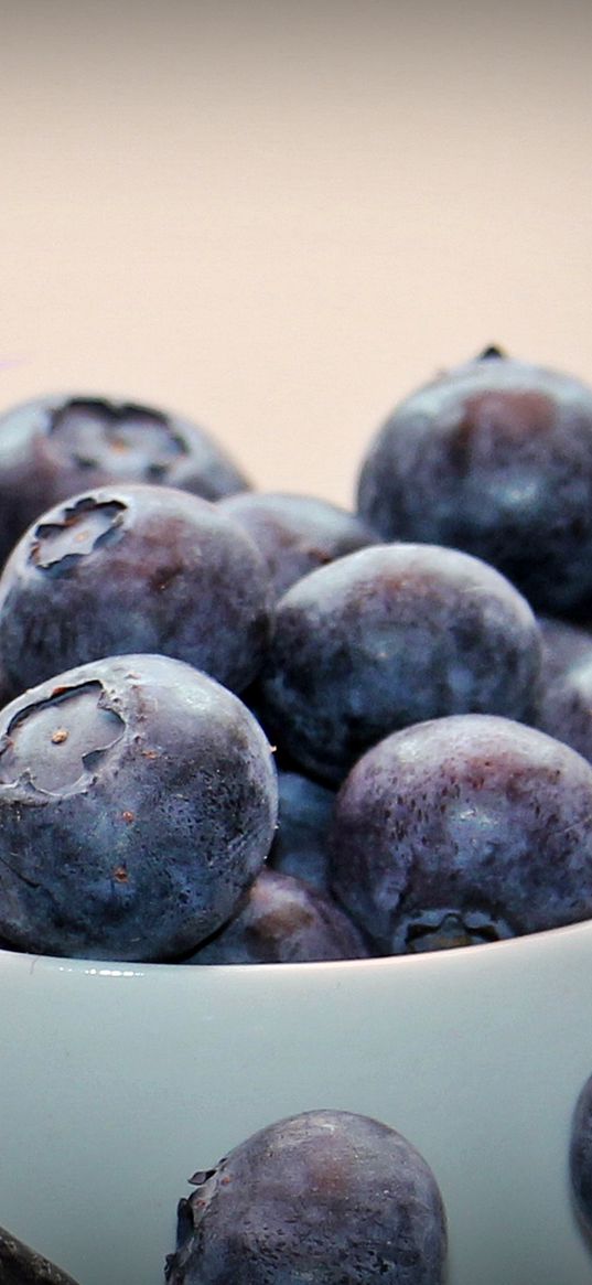 blueberry, berry, bowl, ripe