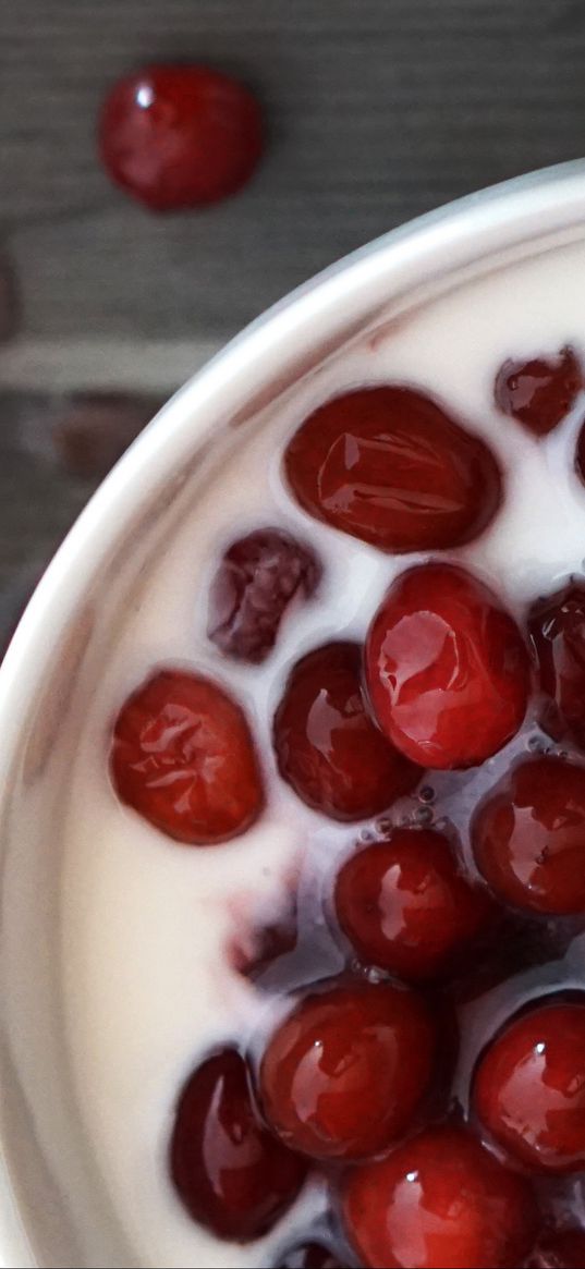 cranberries, yogurt, breakfast