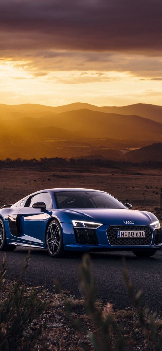 audi, r8, v10, side view, road