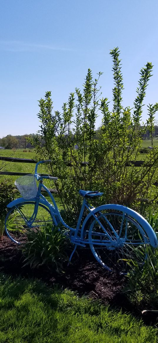 pasture, nature, meadow, grass, bike