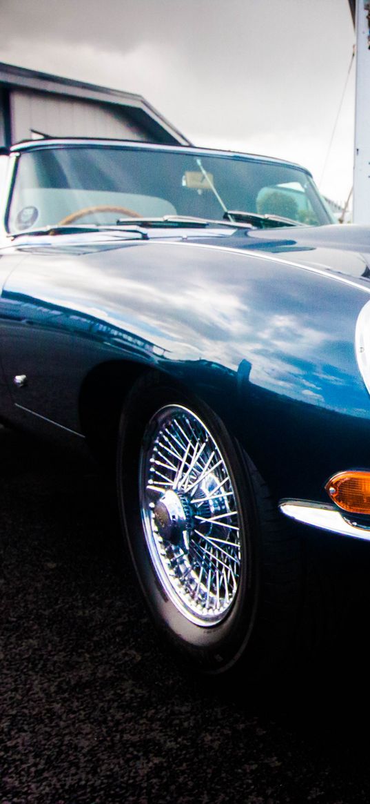 jaguar, retro, classic, side view