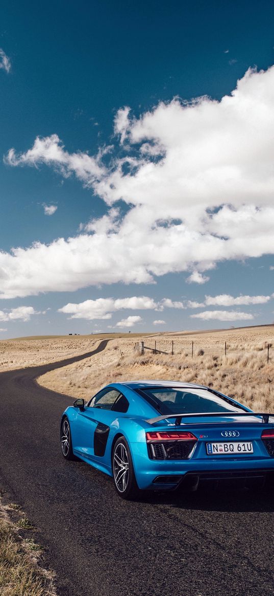 audi, r8, v10, side view, blue, road, grass