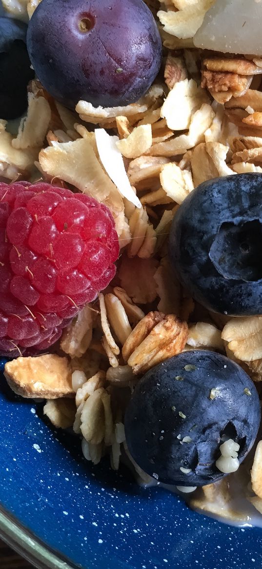 cereal, granola, blueberries, raspberries, milk