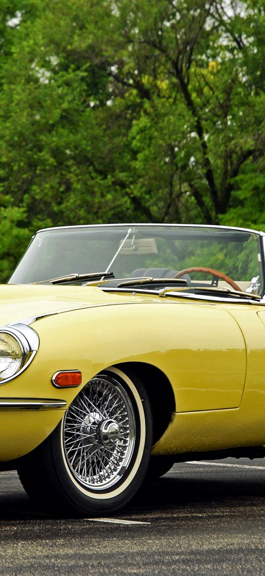 jaguar, e-type, 1968, convertible, yellow