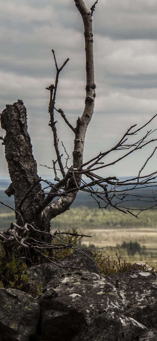 lapland, stones, wood