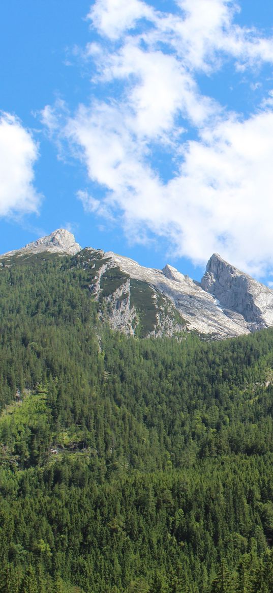 germany, hintersee, berchtesgaden, mountains, trees