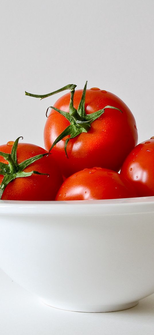 tomatoes, plate, vegetables