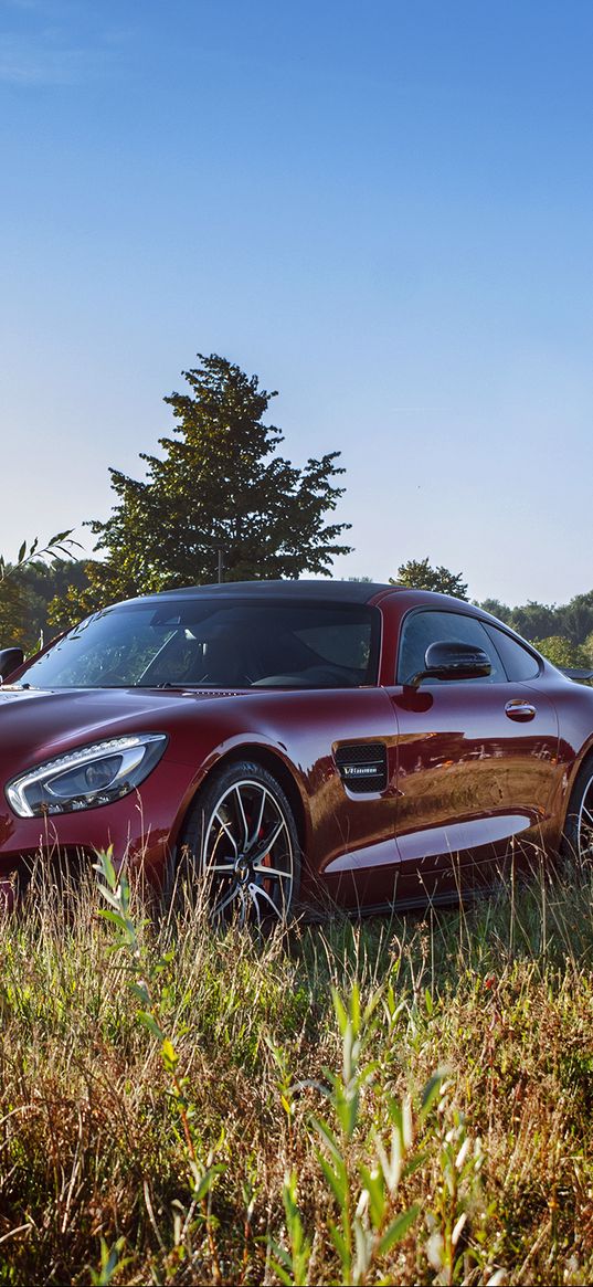 mercedes, amg, side view, grass