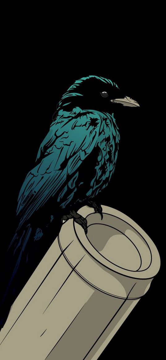 raven, bird, pipe