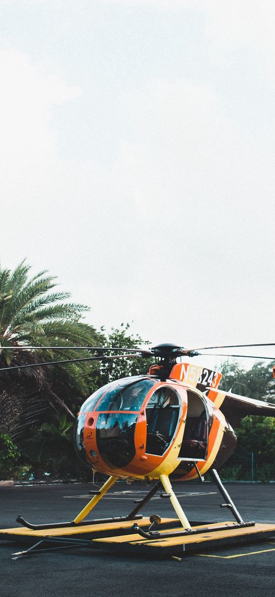 helicopter, area, palm trees