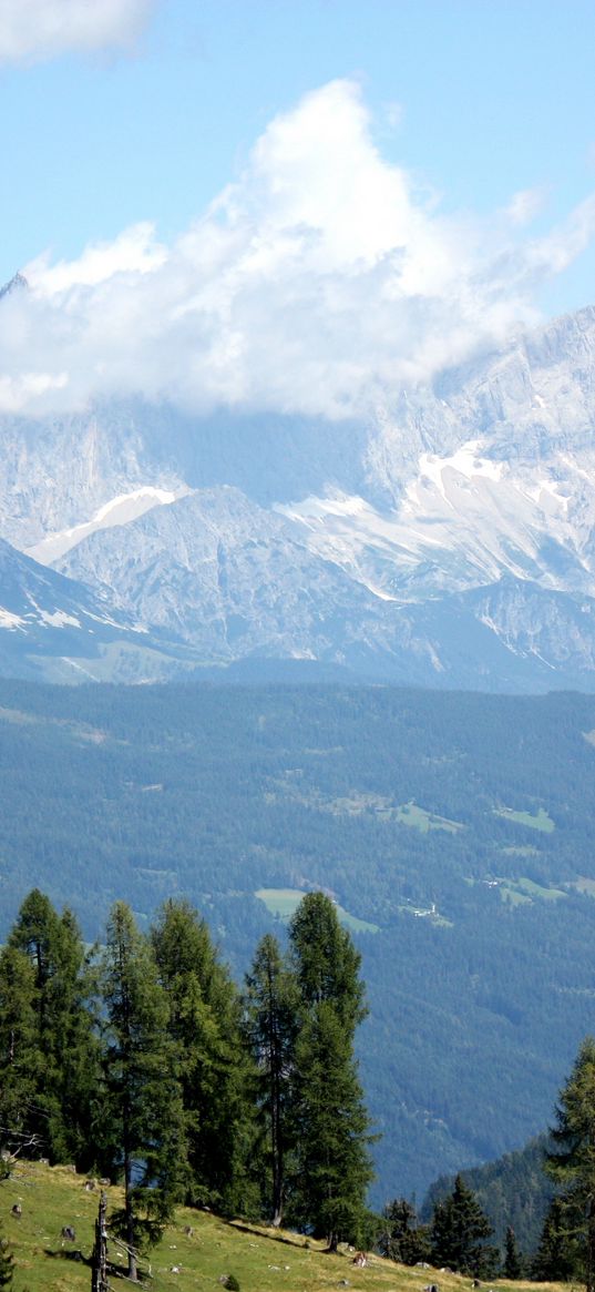 austria, alps, mountains, trees