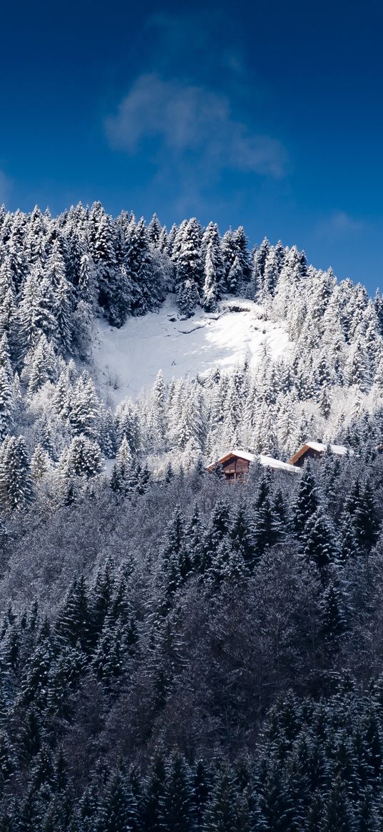 alps, mountains, snow, trees