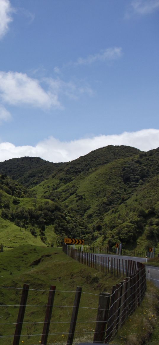 new zealand, hills, mountains, grass