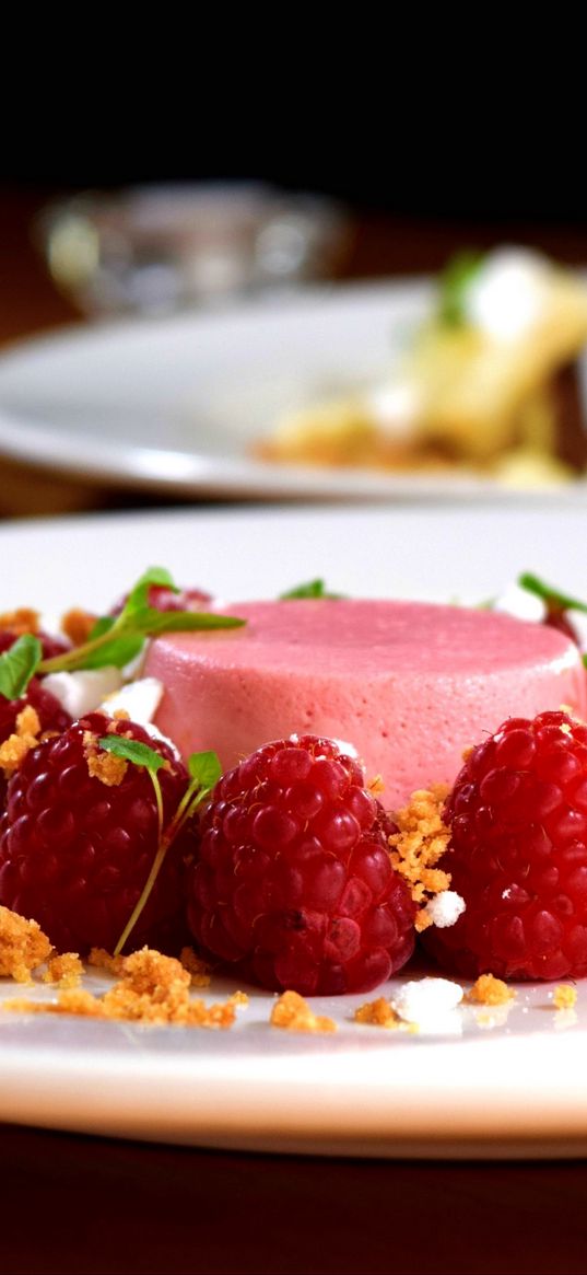 dessert, souffle, raspberry