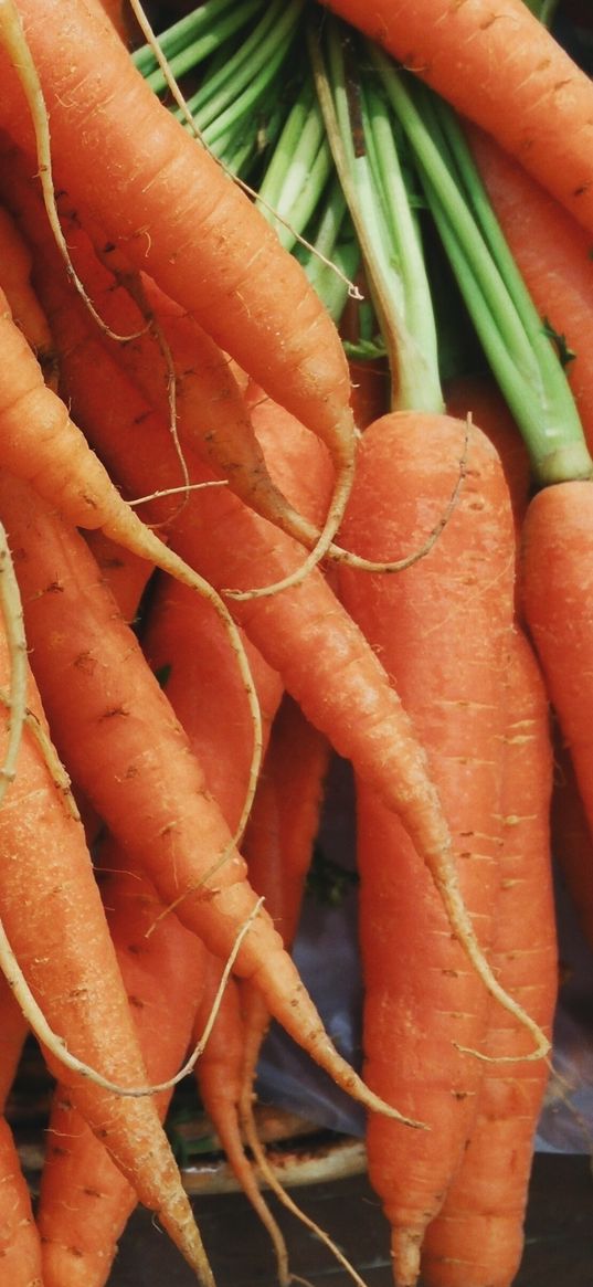 carrots, vegetables, many