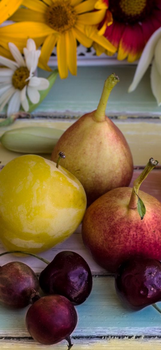 fruit, pear, gooseberry, flowers