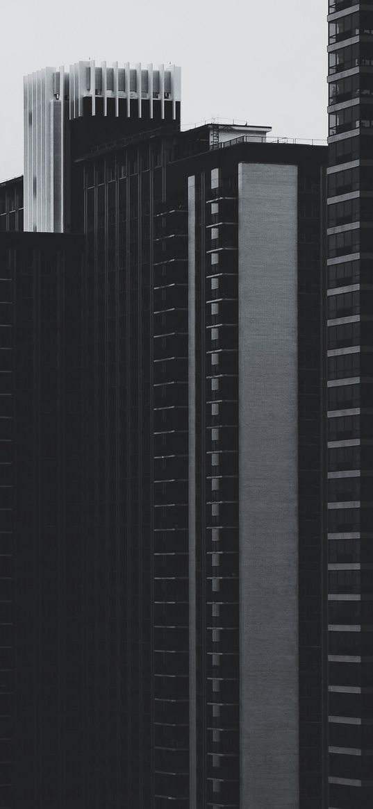 skyscrapers, buildings, high-rise, bw