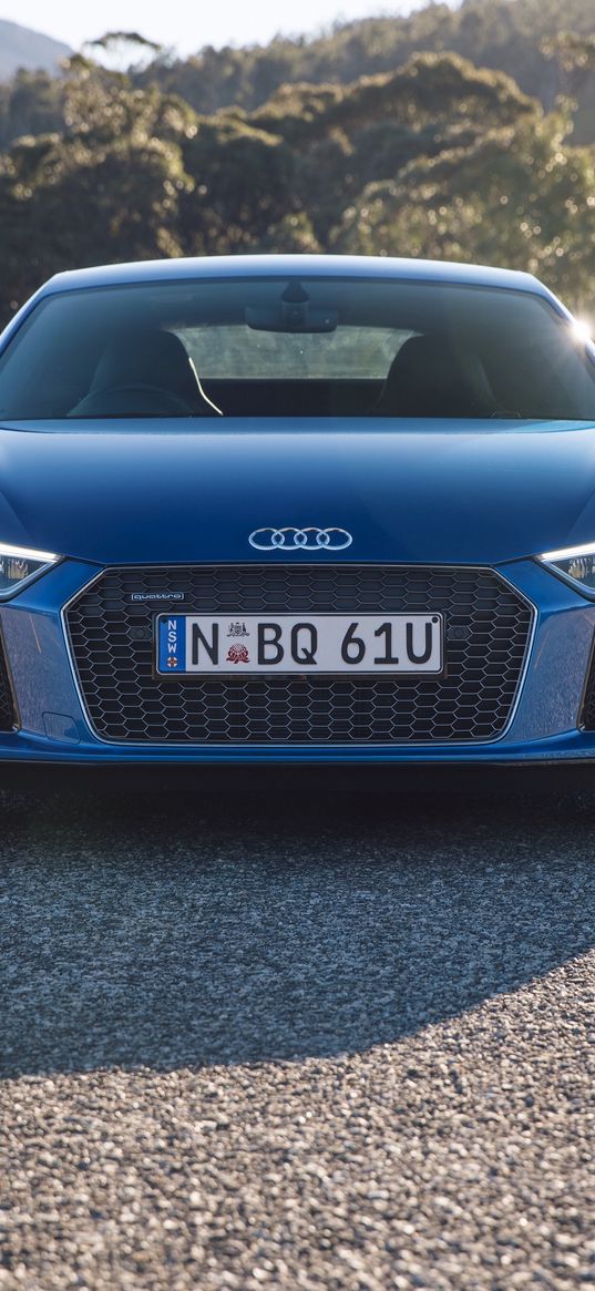 audi, r8, v10, blue, front view