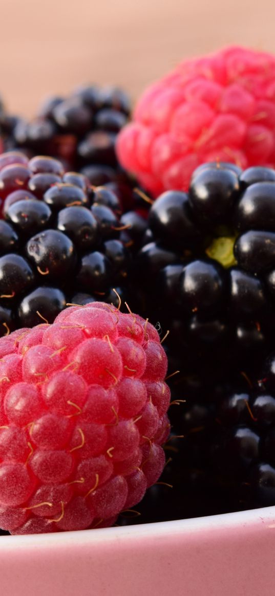 raspberries, blackberries, berries, bowl