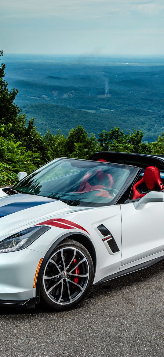 chevrolet, corvette, stingray, coupe, c7, cabriolet