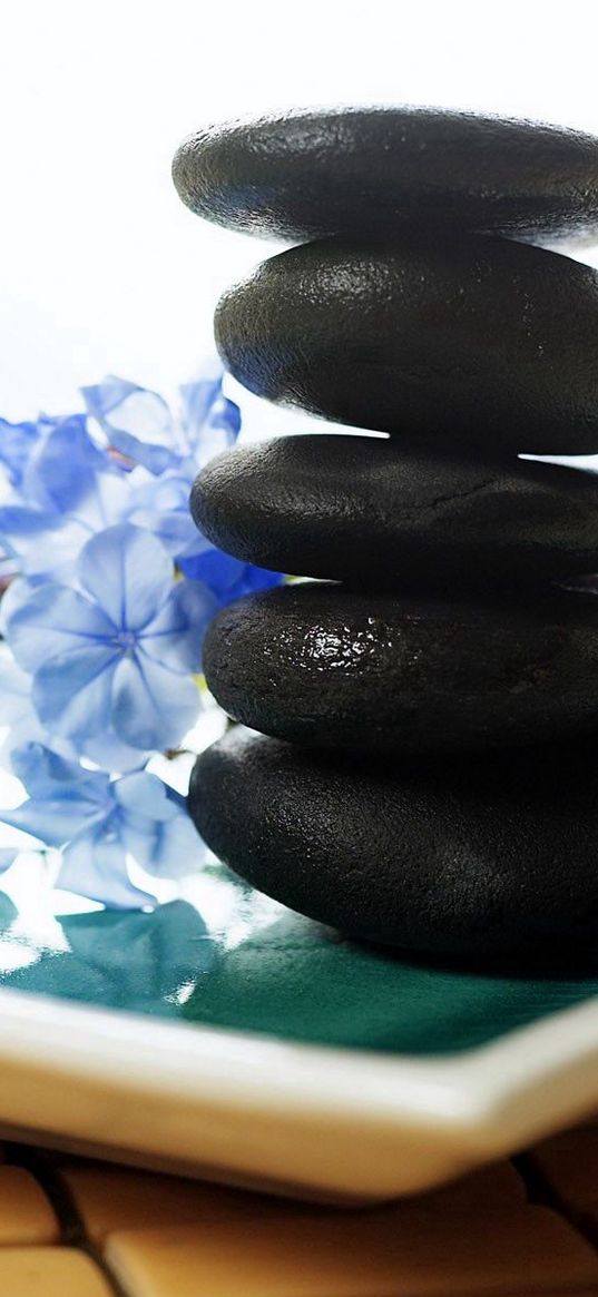 stones, therapy, flowers, massage