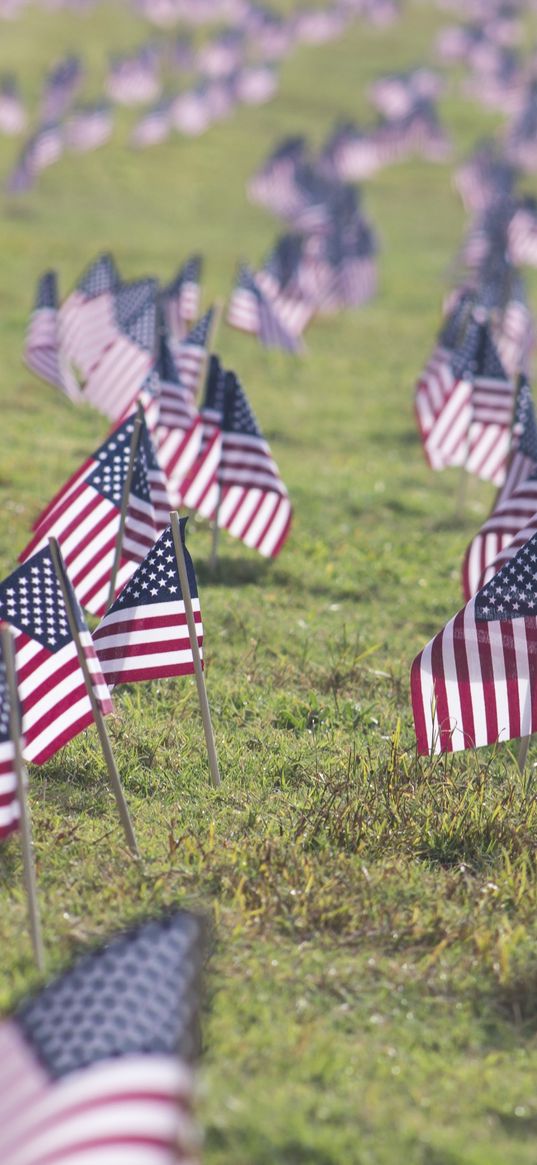 flags, american, patriotism, symbolism