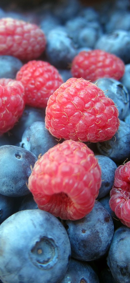 blueberries, raspberries, berries