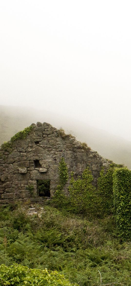 ruins, mountains, grass, fog