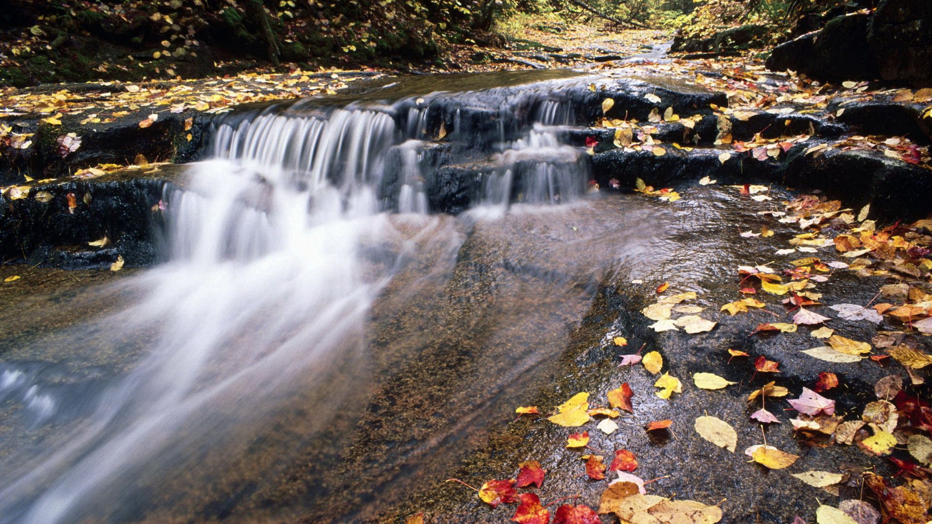 river, mountain, water, stream, leaves, autumn