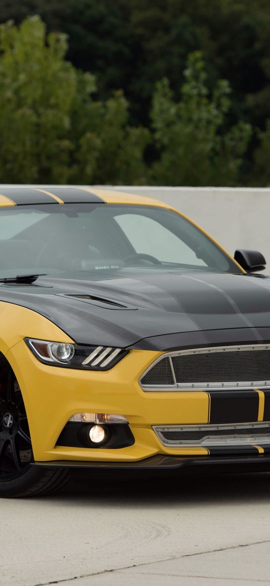 ford mustang, shelby, gt, side view