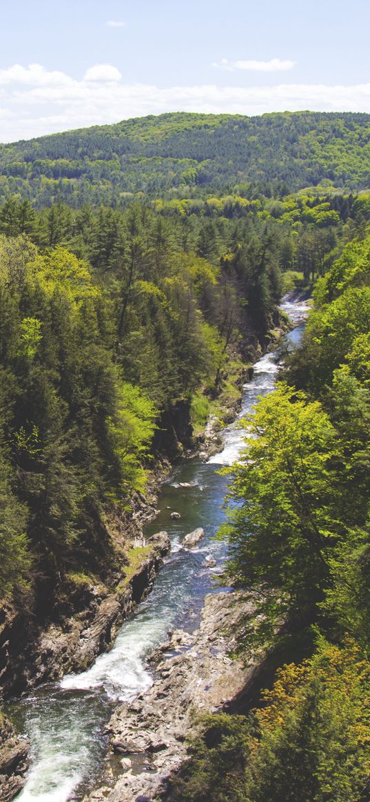 trees, creek, river, mountain