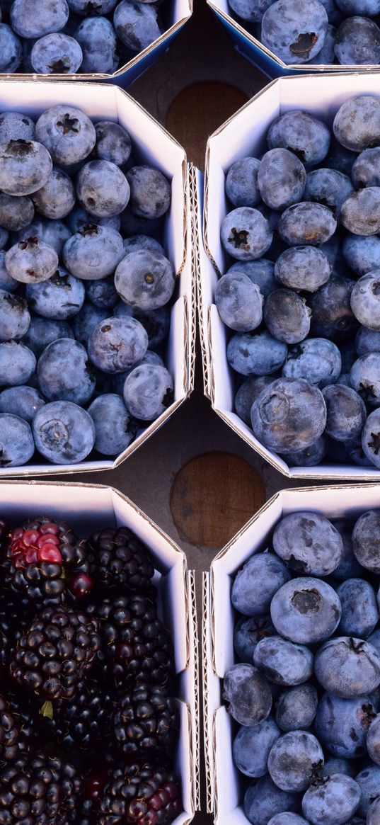 berries, blueberries, blackberries