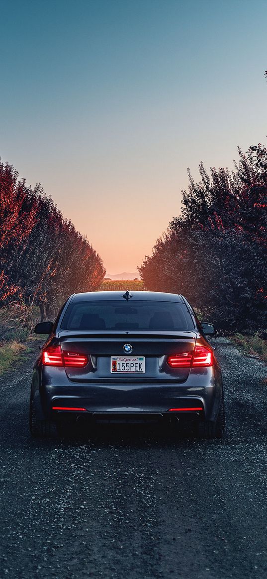 bmw, f80, 335i, rear view