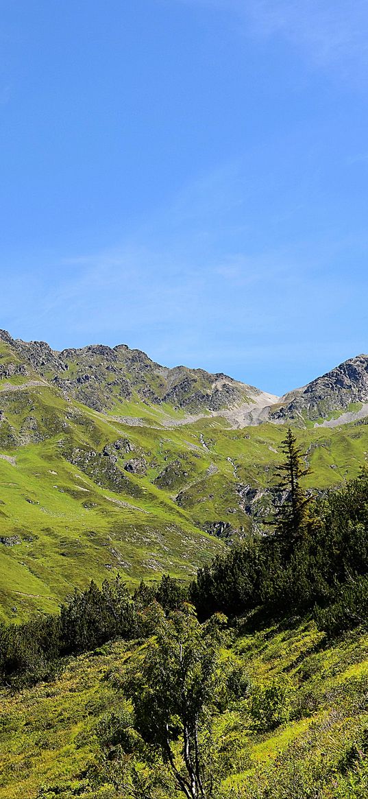 mountains, grass, tyrol, panorama